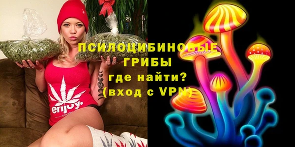 винт Краснослободск