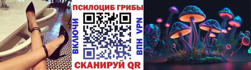 Галлюциногенные грибы MAGIC MUSHROOMS Терек
